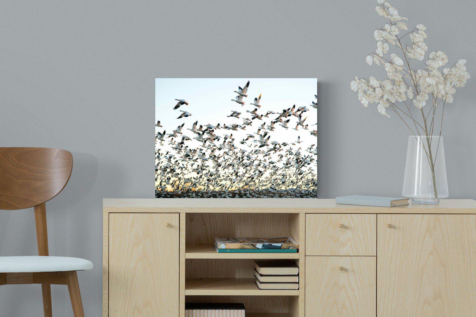 Snow Geese-Wall_Art-60 x 45cm-Mounted Canvas-No Frame-Pixalot