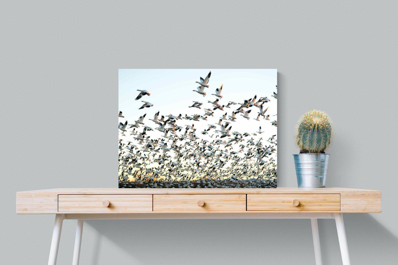 Snow Geese-Wall_Art-80 x 60cm-Mounted Canvas-No Frame-Pixalot