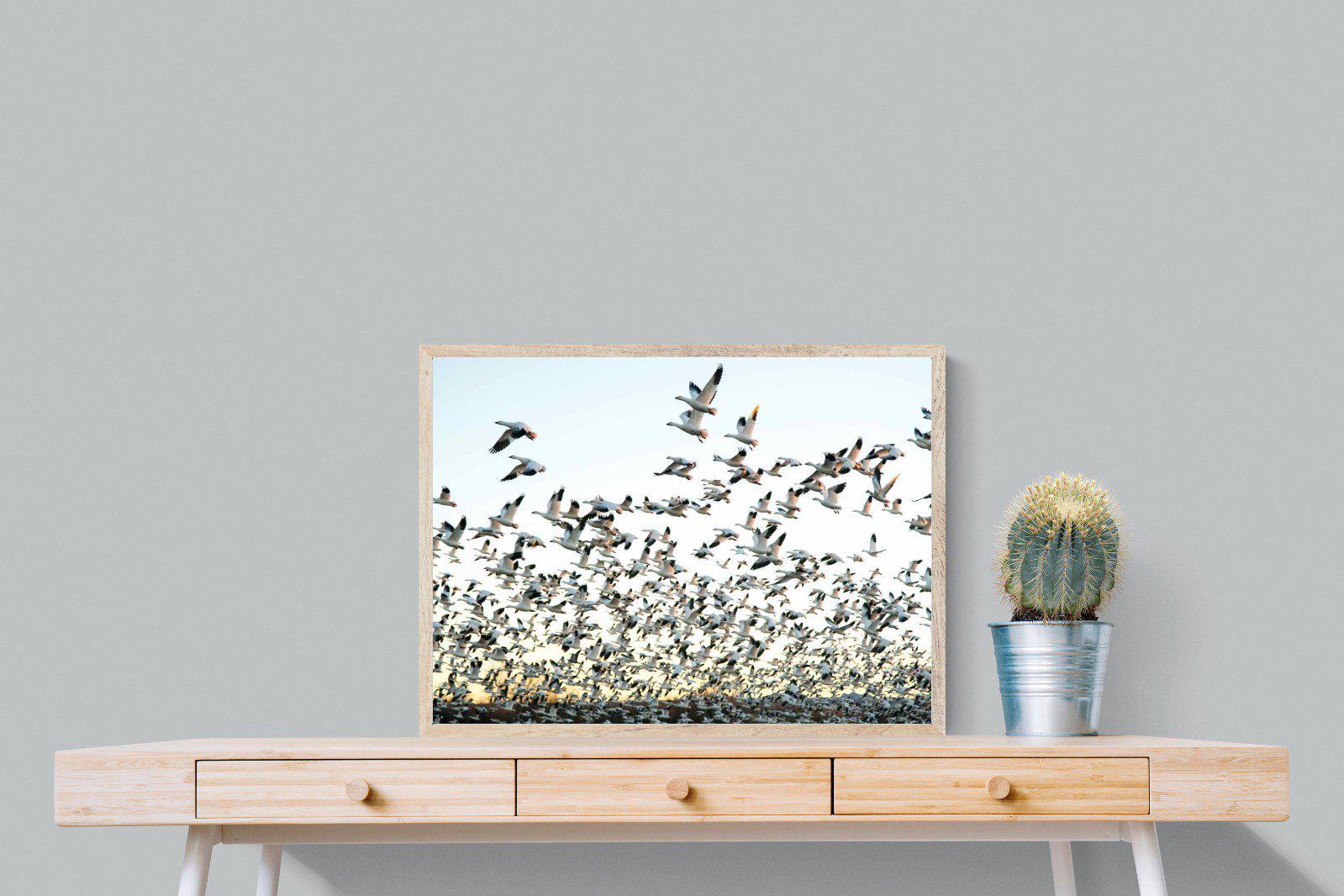 Snow Geese-Wall_Art-80 x 60cm-Mounted Canvas-Wood-Pixalot