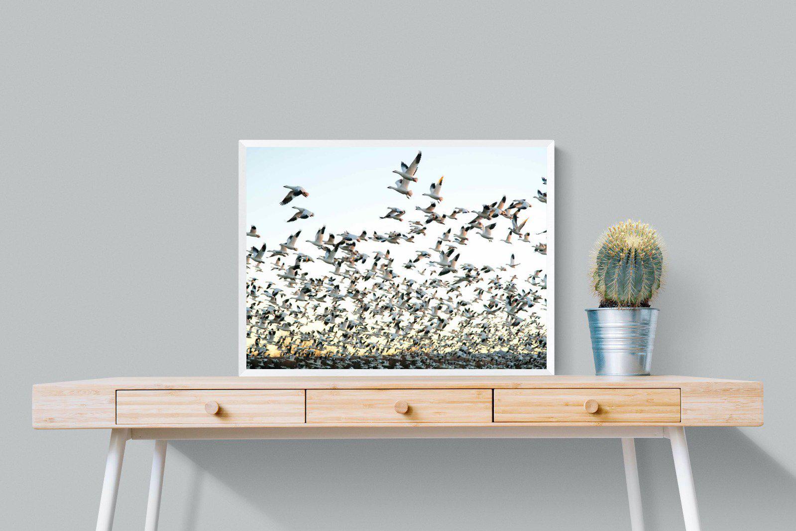 Snow Geese-Wall_Art-80 x 60cm-Mounted Canvas-White-Pixalot