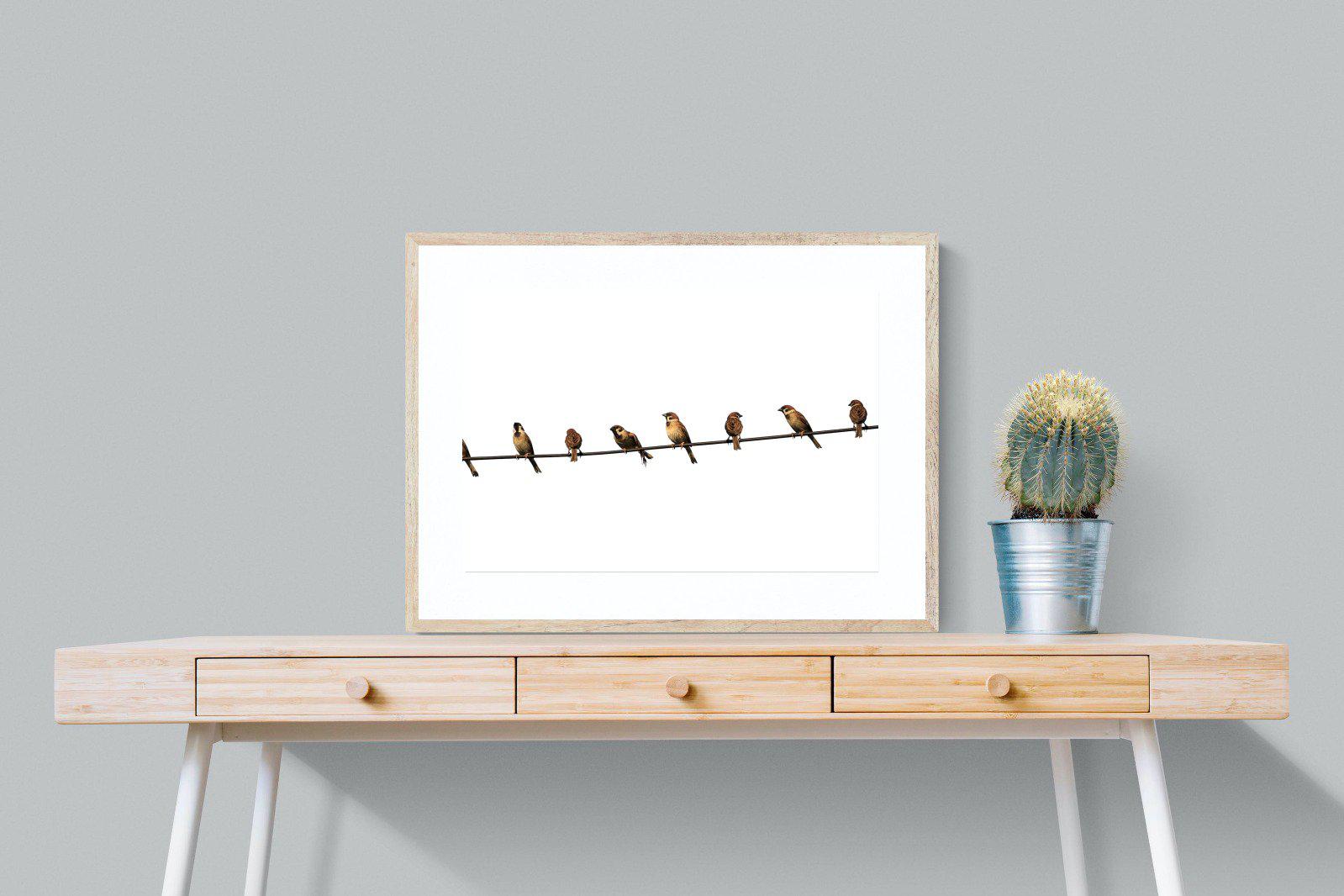 Sparrows-Wall_Art-80 x 60cm-Framed Print-Wood-Pixalot