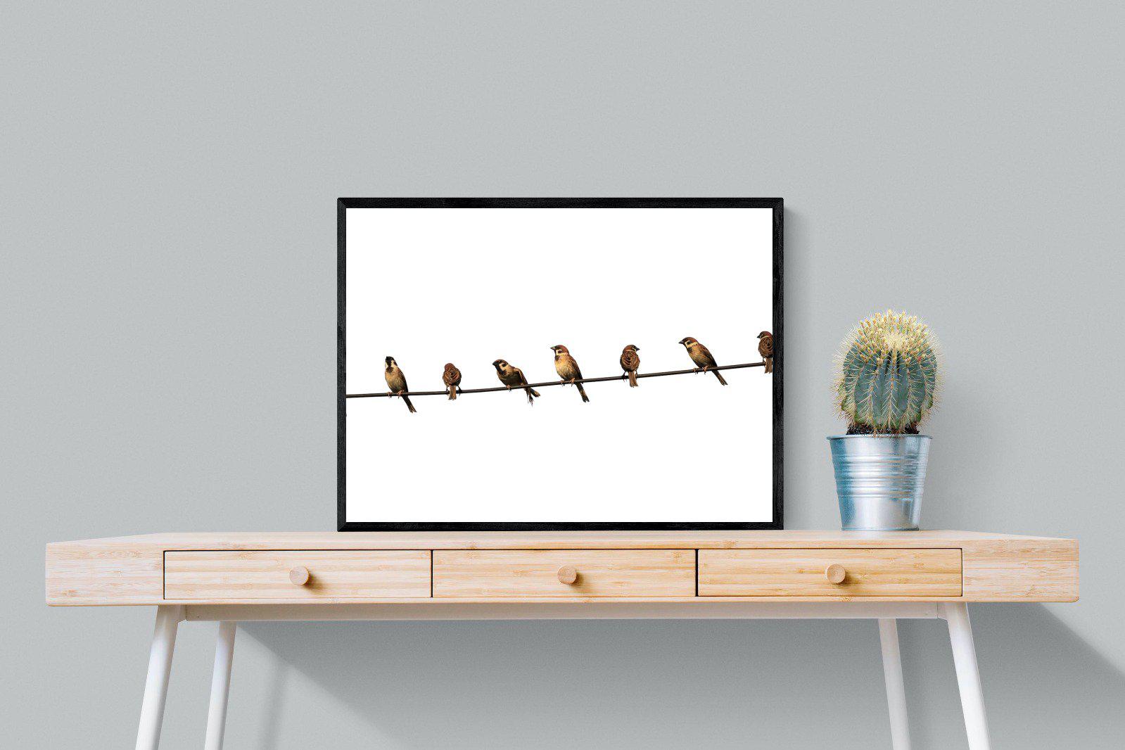 Sparrows-Wall_Art-80 x 60cm-Mounted Canvas-Black-Pixalot
