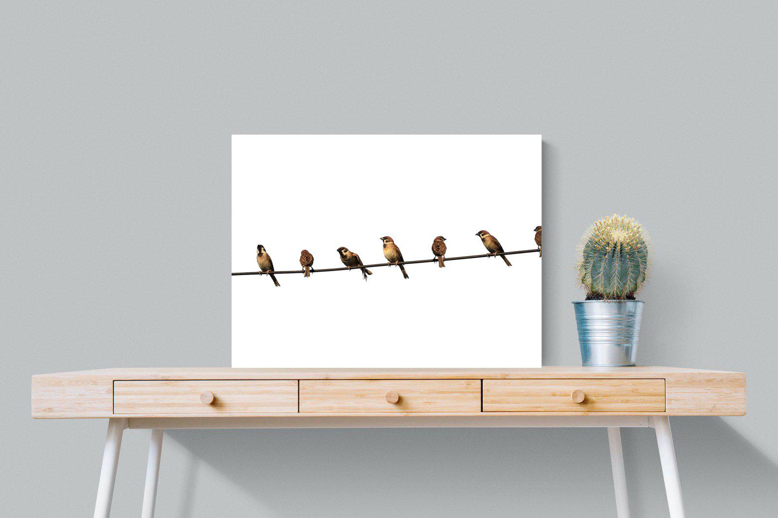 Sparrows-Wall_Art-80 x 60cm-Mounted Canvas-No Frame-Pixalot