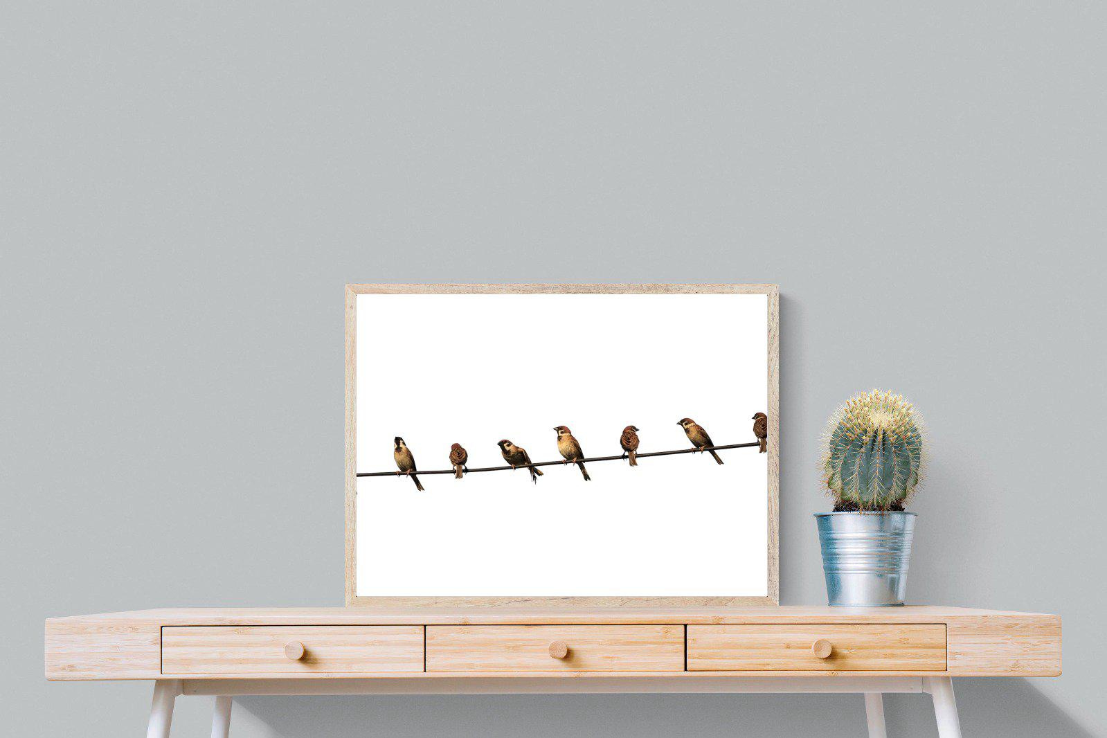 Sparrows-Wall_Art-80 x 60cm-Mounted Canvas-Wood-Pixalot