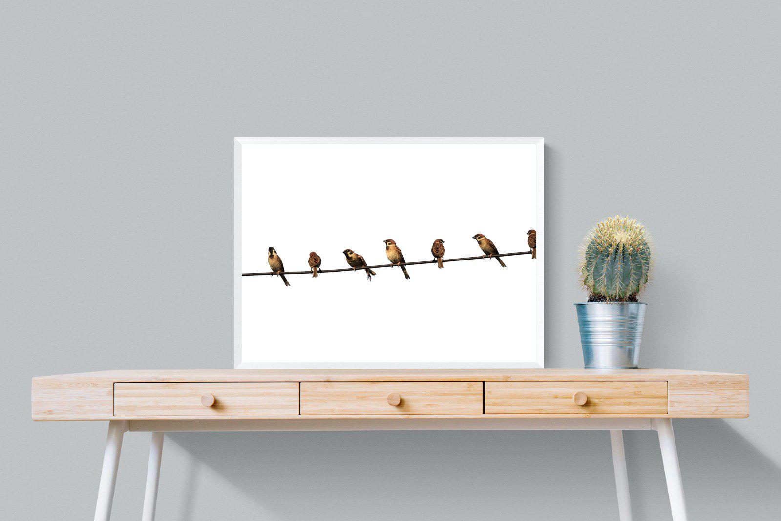 Sparrows-Wall_Art-80 x 60cm-Mounted Canvas-White-Pixalot