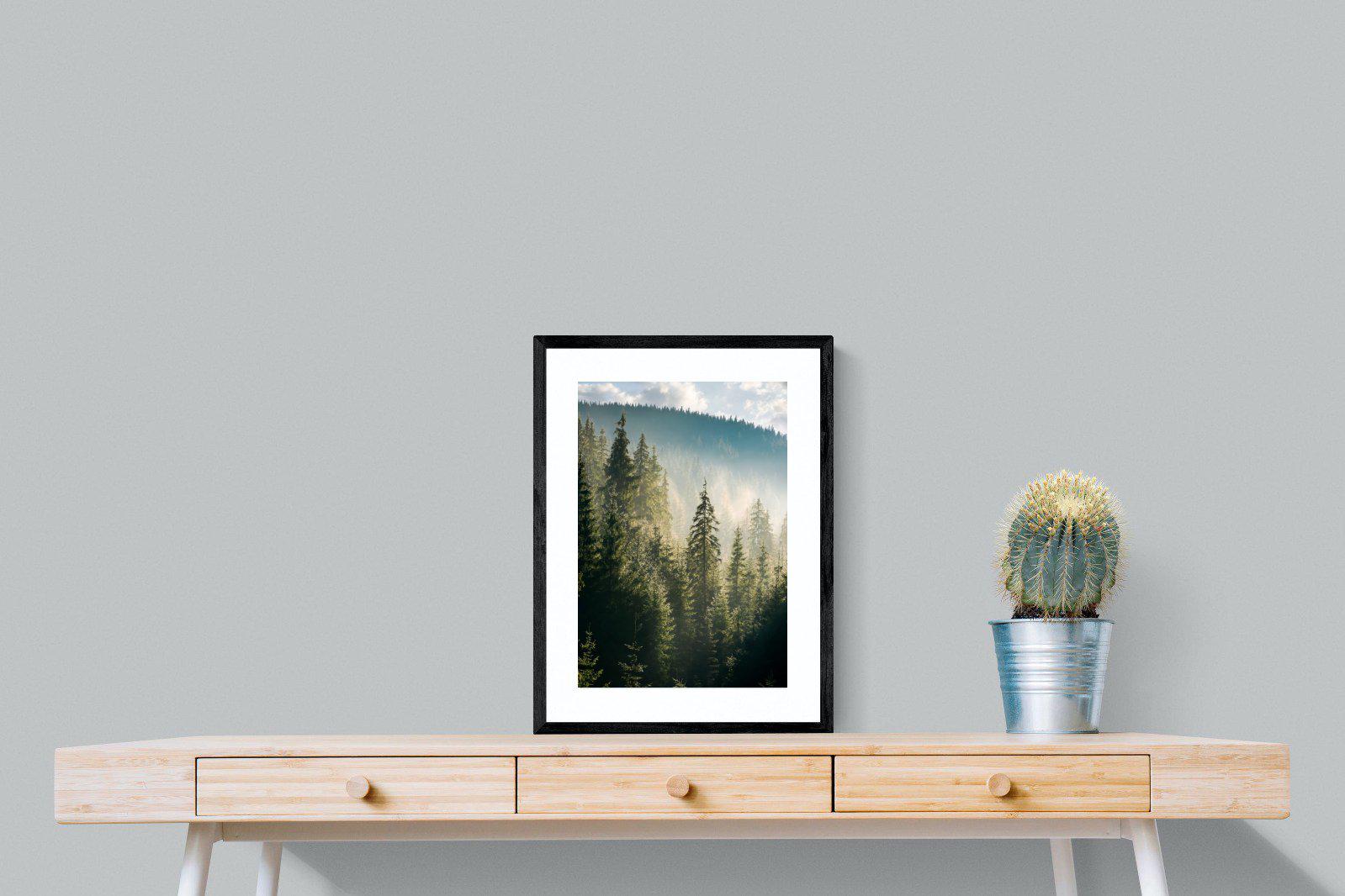 Spruce Forest-Wall_Art-45 x 60cm-Framed Print-Black-Pixalot