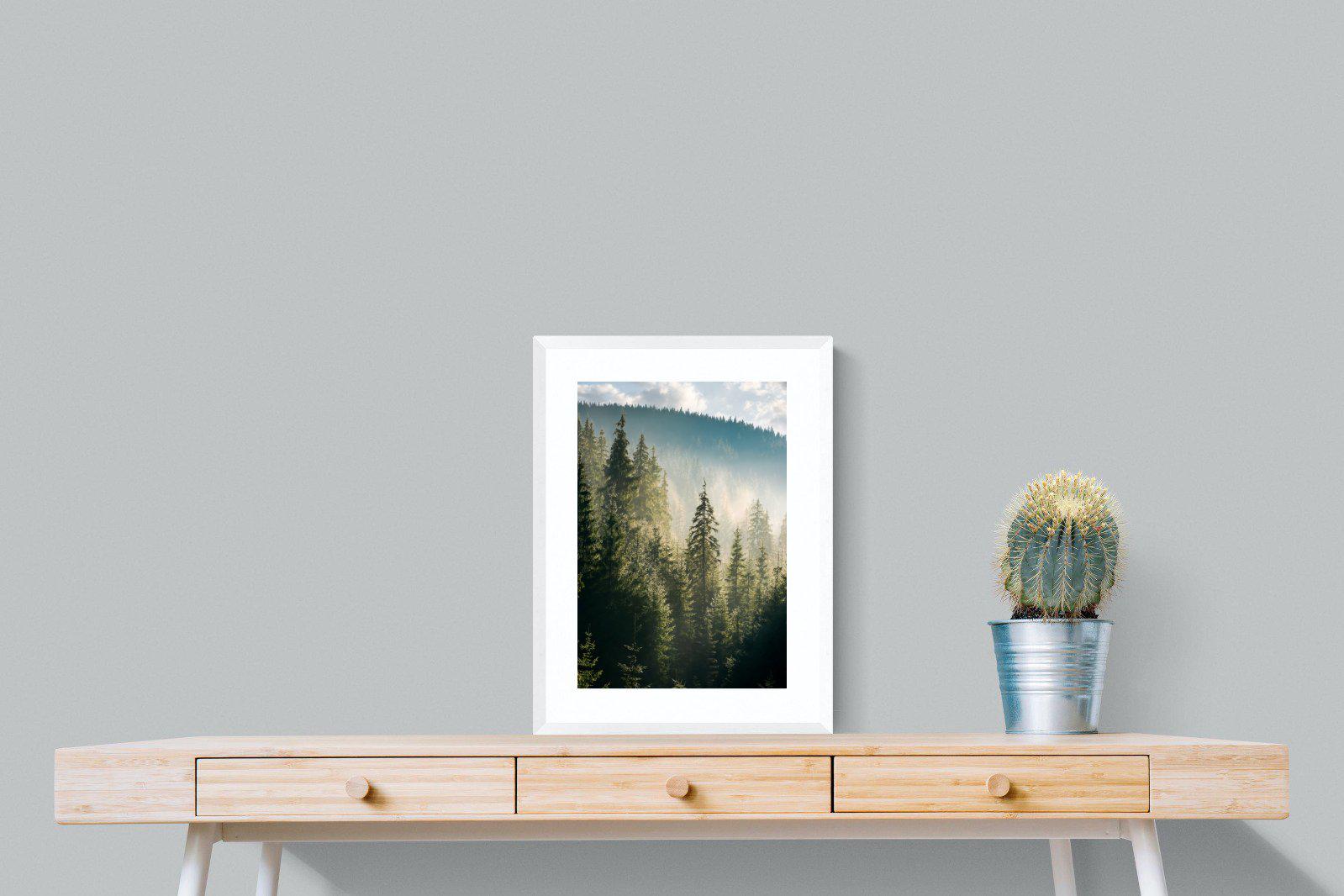Spruce Forest-Wall_Art-45 x 60cm-Framed Print-White-Pixalot