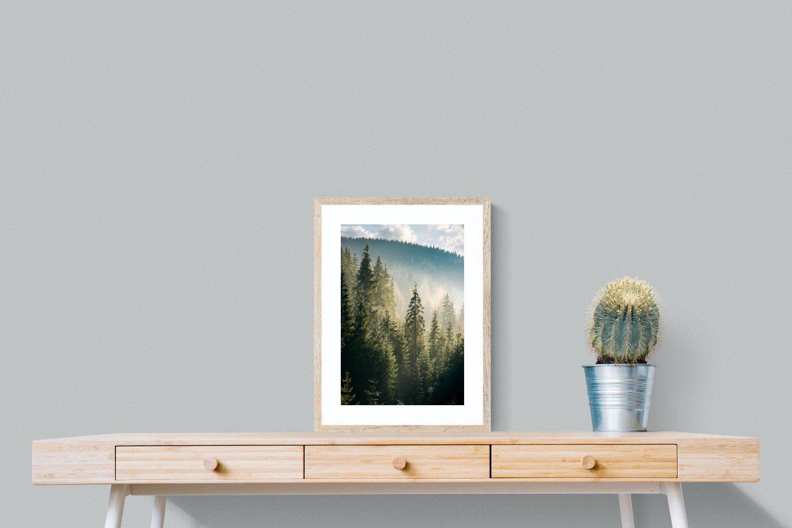 Spruce Forest-Wall_Art-45 x 60cm-Framed Print-Wood-Pixalot