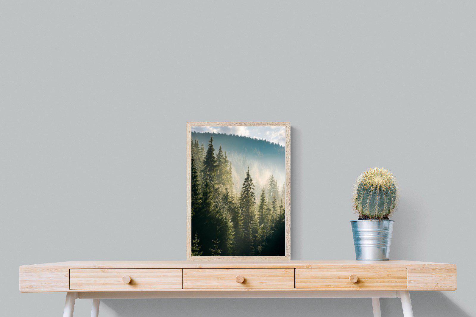 Spruce Forest-Wall_Art-45 x 60cm-Mounted Canvas-Wood-Pixalot