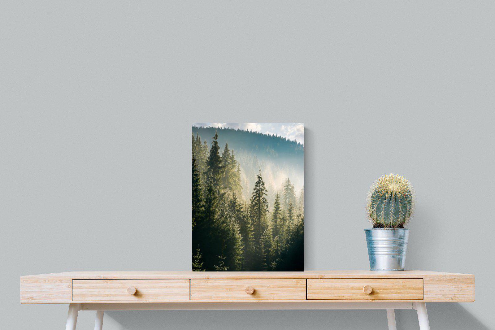 Spruce Forest-Wall_Art-45 x 60cm-Mounted Canvas-No Frame-Pixalot