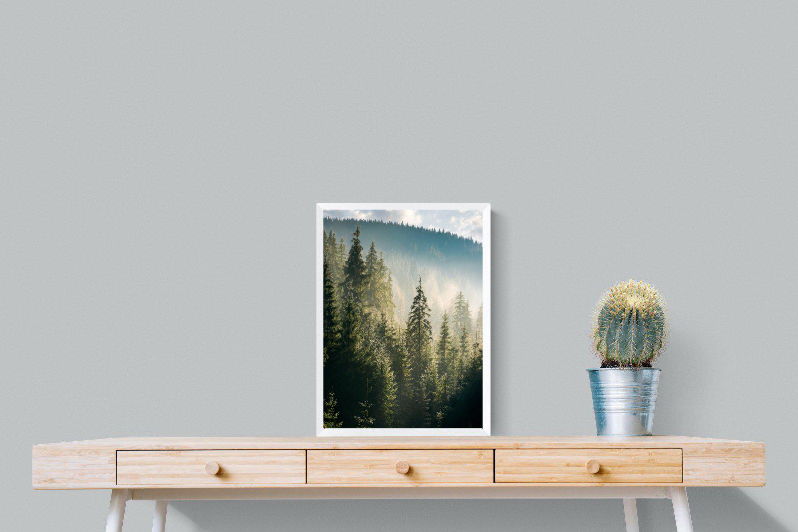Spruce Forest-Wall_Art-45 x 60cm-Mounted Canvas-White-Pixalot