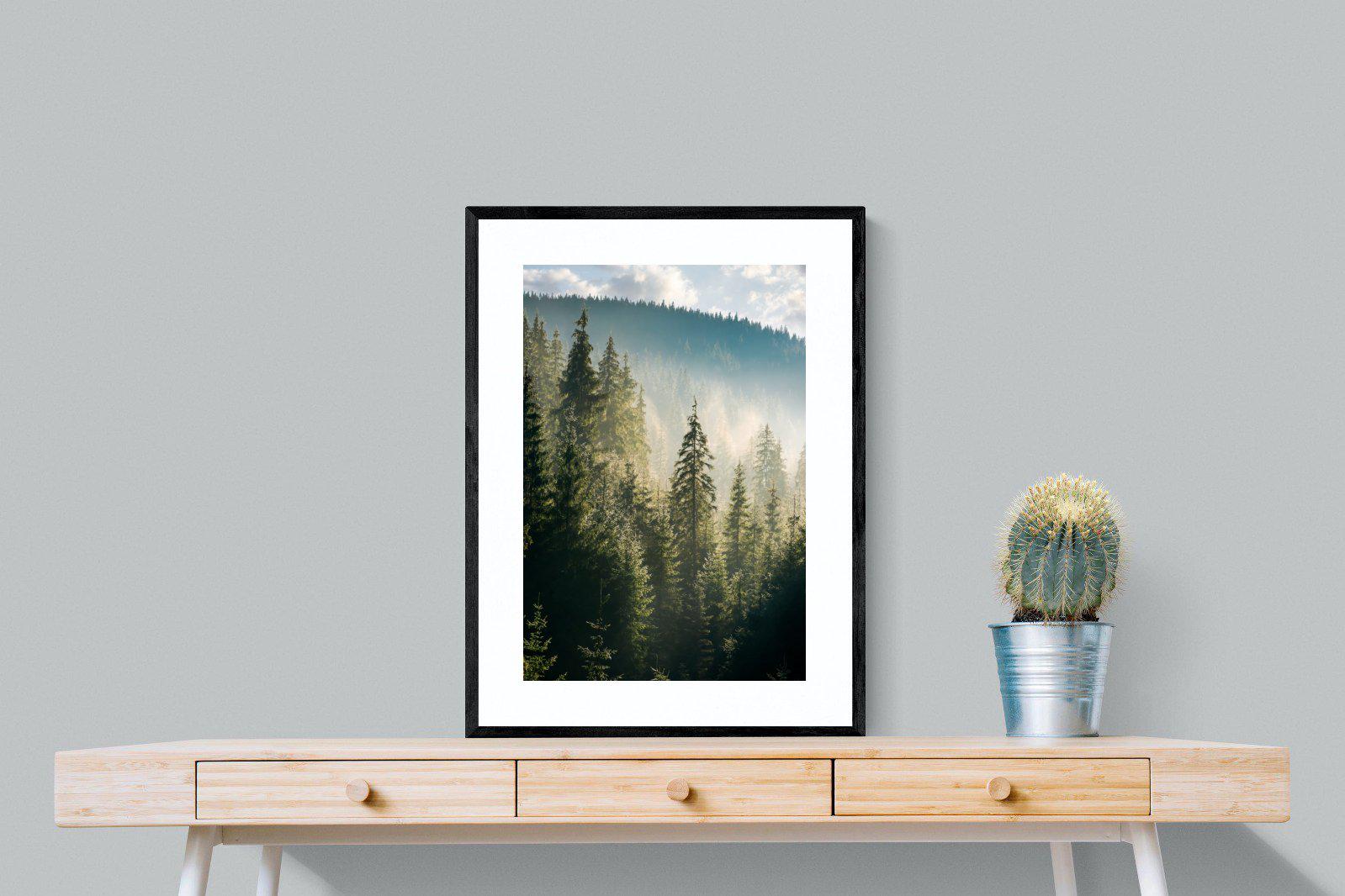 Spruce Forest-Wall_Art-60 x 80cm-Framed Print-Black-Pixalot