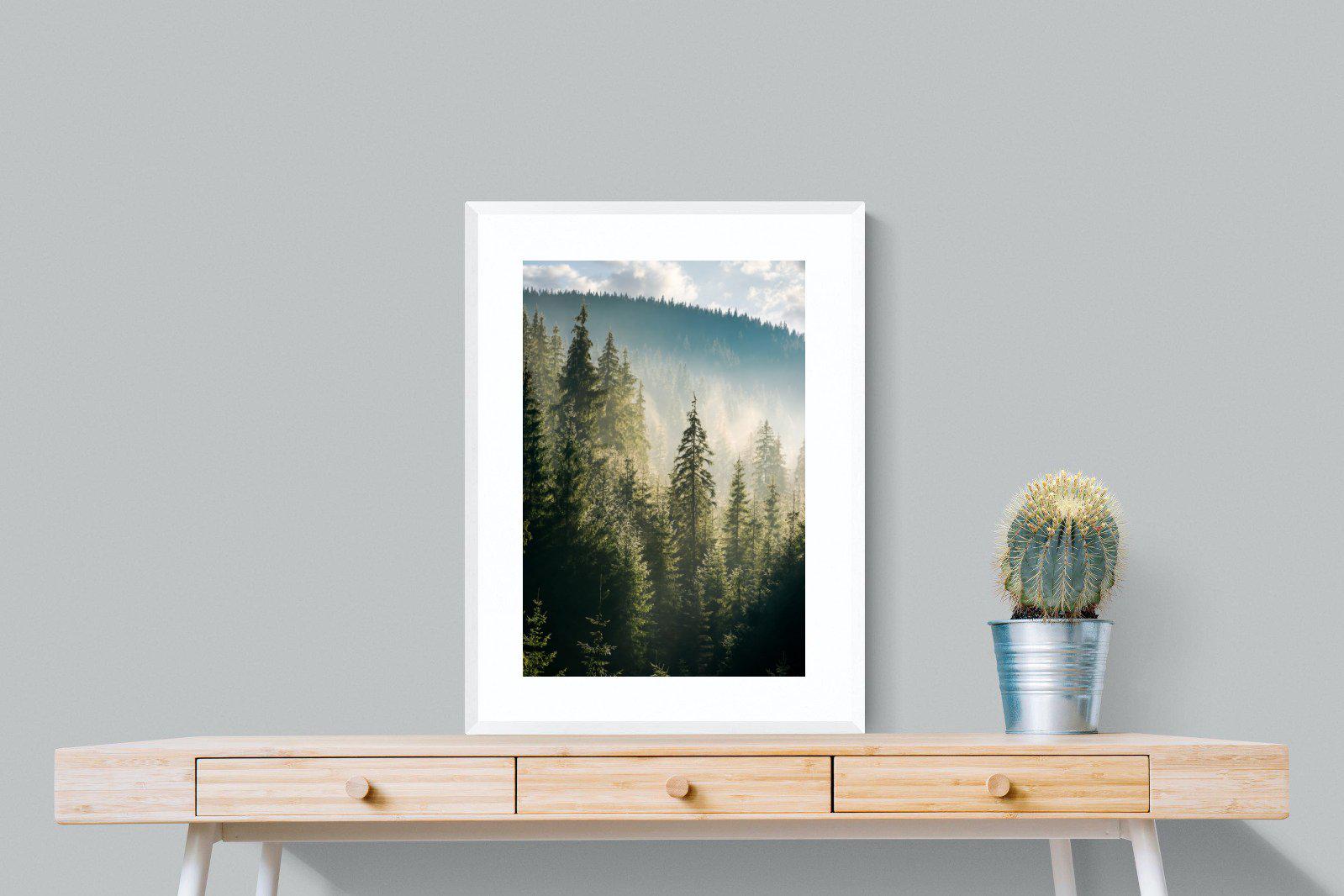 Spruce Forest-Wall_Art-60 x 80cm-Framed Print-White-Pixalot