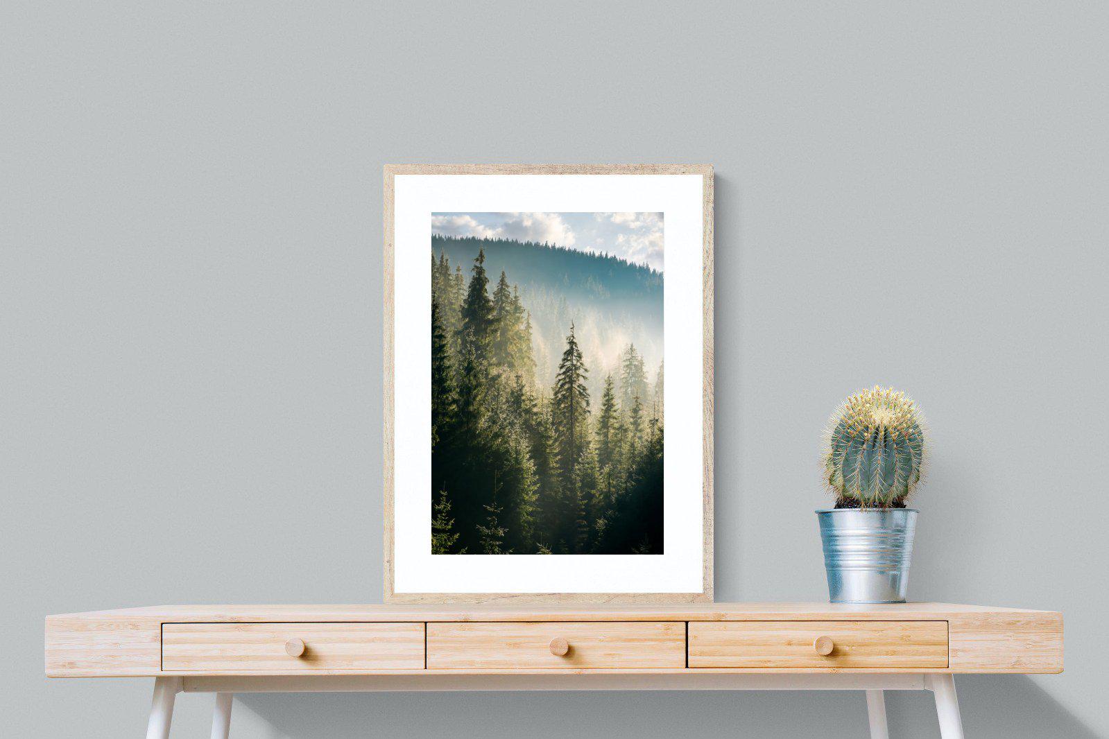 Spruce Forest-Wall_Art-60 x 80cm-Framed Print-Wood-Pixalot