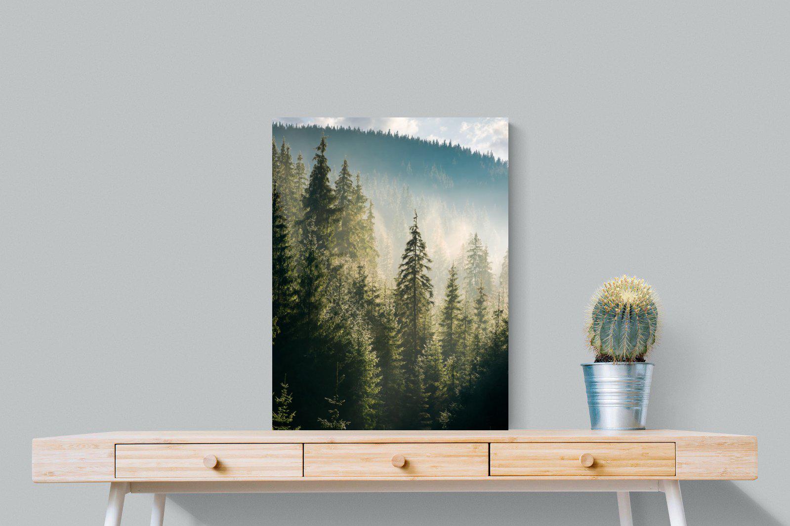 Spruce Forest-Wall_Art-60 x 80cm-Mounted Canvas-No Frame-Pixalot