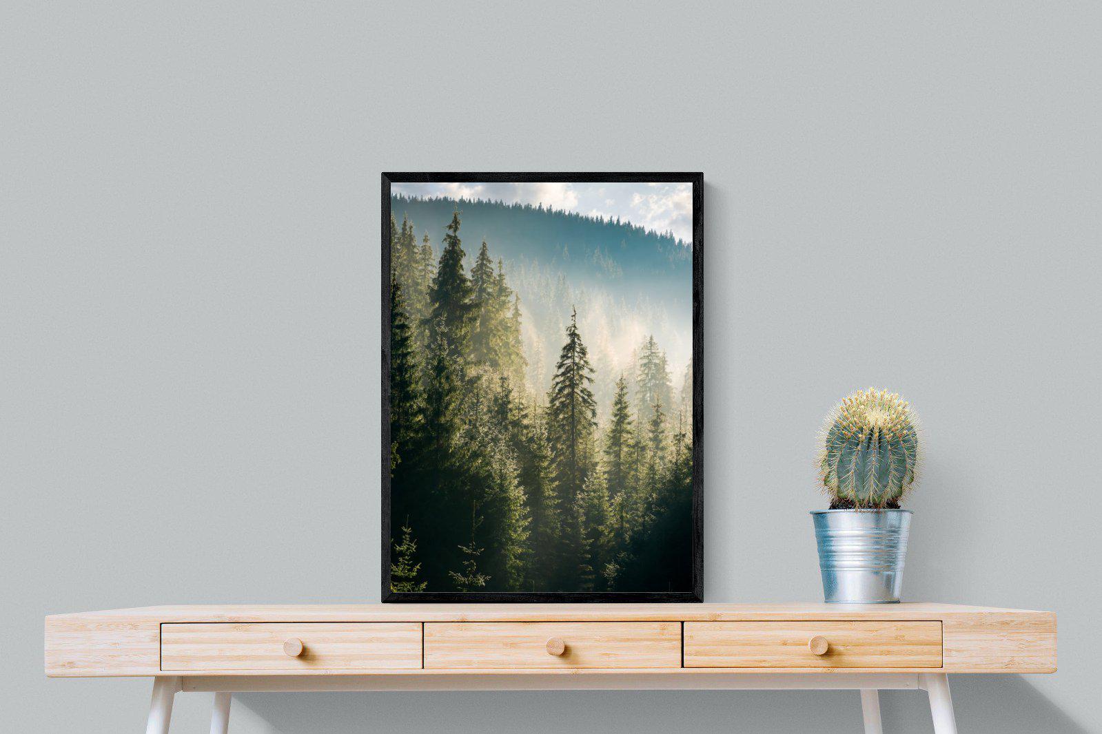 Spruce Forest-Wall_Art-60 x 80cm-Mounted Canvas-Black-Pixalot