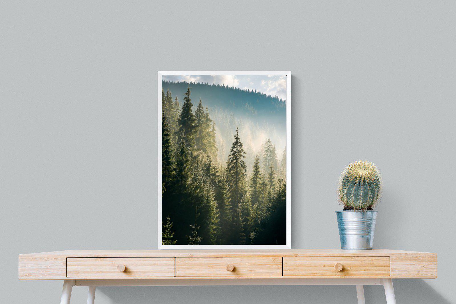 Spruce Forest-Wall_Art-60 x 80cm-Mounted Canvas-White-Pixalot