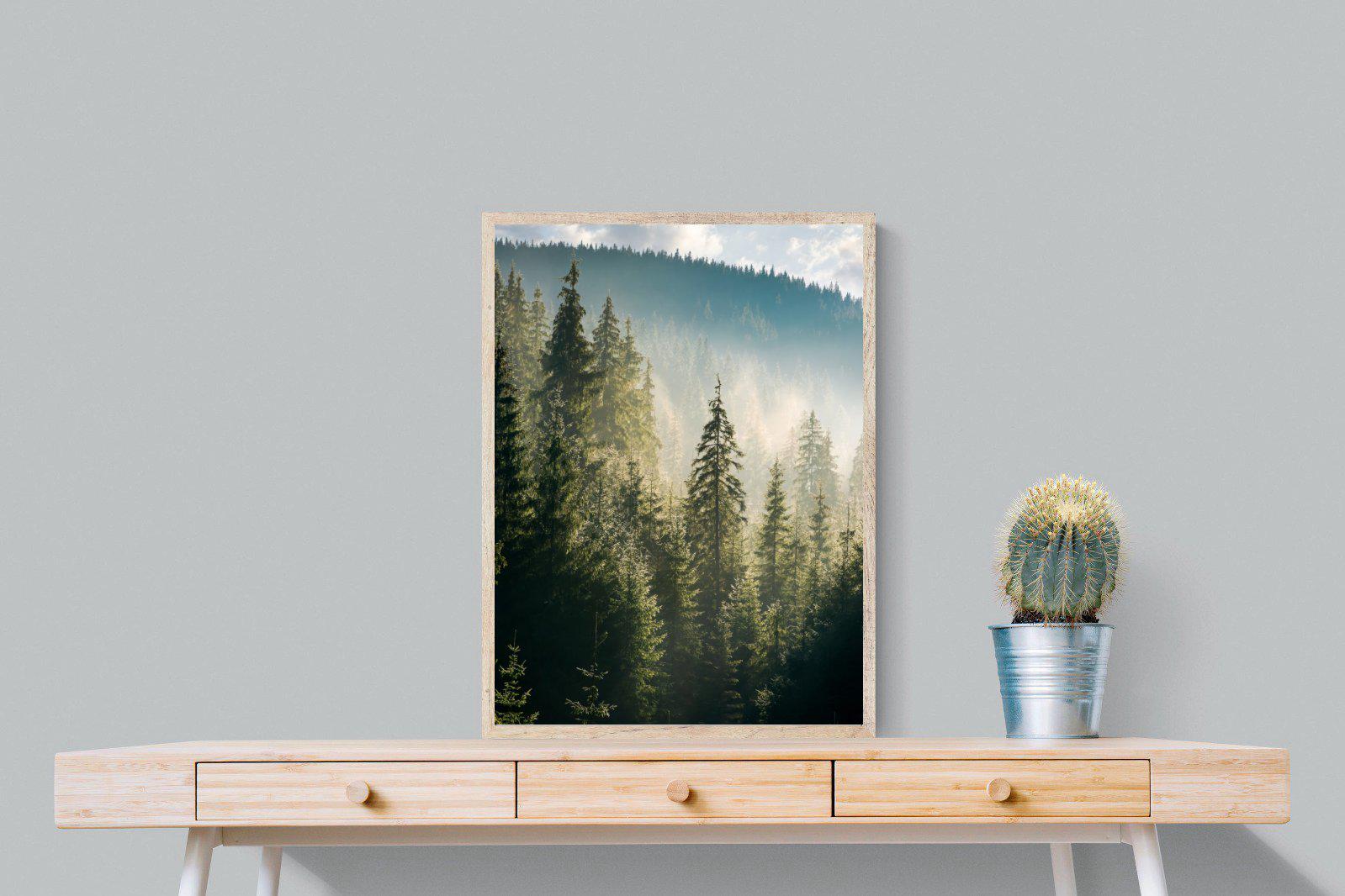 Spruce Forest-Wall_Art-60 x 80cm-Mounted Canvas-Wood-Pixalot