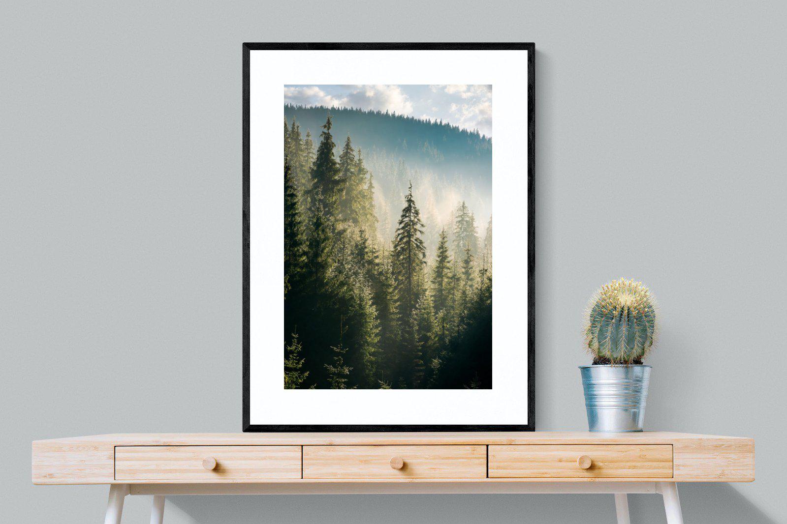 Spruce Forest-Wall_Art-75 x 100cm-Framed Print-Black-Pixalot