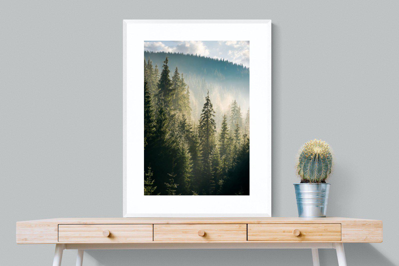Spruce Forest-Wall_Art-75 x 100cm-Framed Print-White-Pixalot
