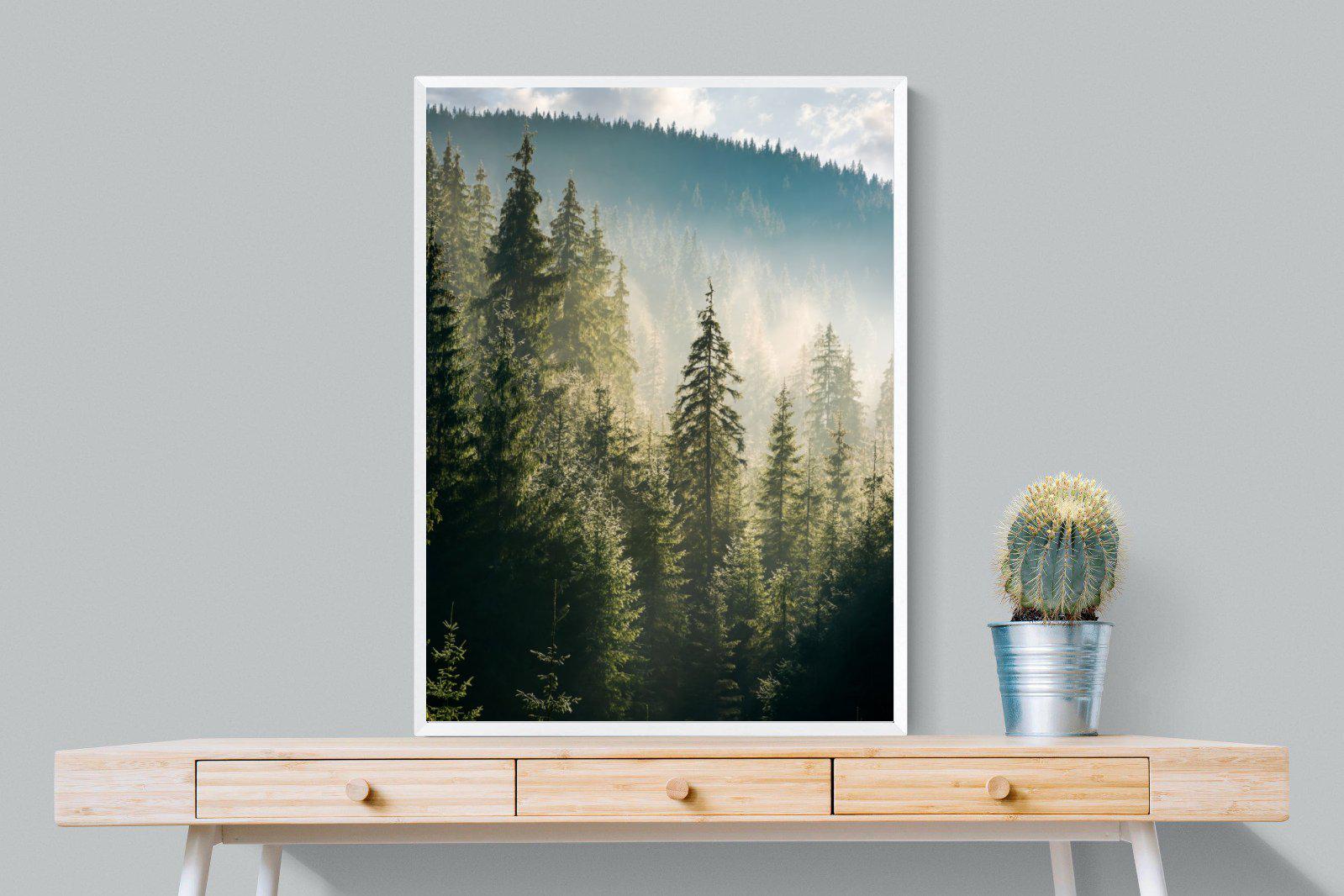 Spruce Forest-Wall_Art-75 x 100cm-Mounted Canvas-White-Pixalot