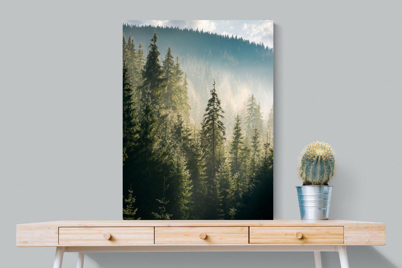 Spruce Forest-Wall_Art-75 x 100cm-Mounted Canvas-No Frame-Pixalot