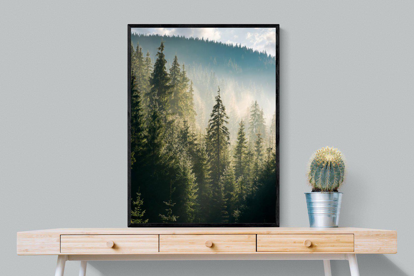 Spruce Forest-Wall_Art-75 x 100cm-Mounted Canvas-Black-Pixalot