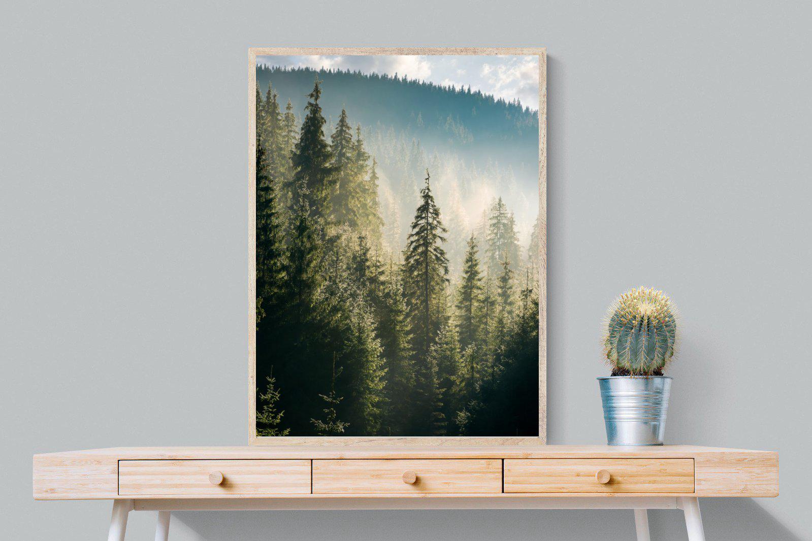 Spruce Forest-Wall_Art-75 x 100cm-Mounted Canvas-Wood-Pixalot