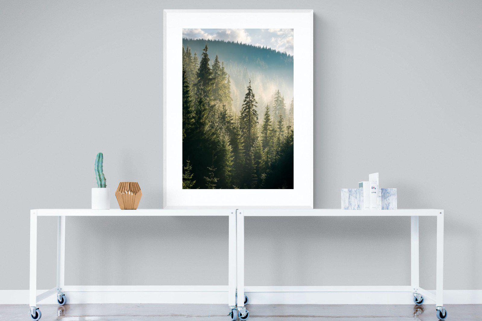 Spruce Forest-Wall_Art-90 x 120cm-Framed Print-White-Pixalot