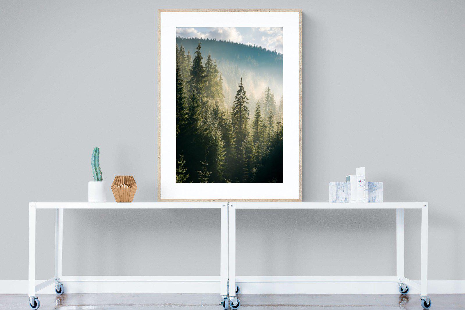 Spruce Forest-Wall_Art-90 x 120cm-Framed Print-Wood-Pixalot