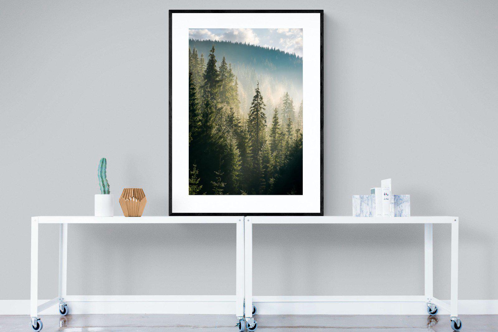 Spruce Forest-Wall_Art-90 x 120cm-Framed Print-Black-Pixalot