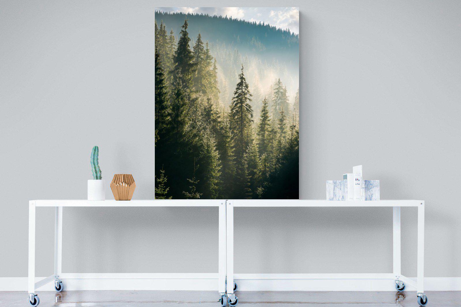 Spruce Forest-Wall_Art-90 x 120cm-Mounted Canvas-No Frame-Pixalot