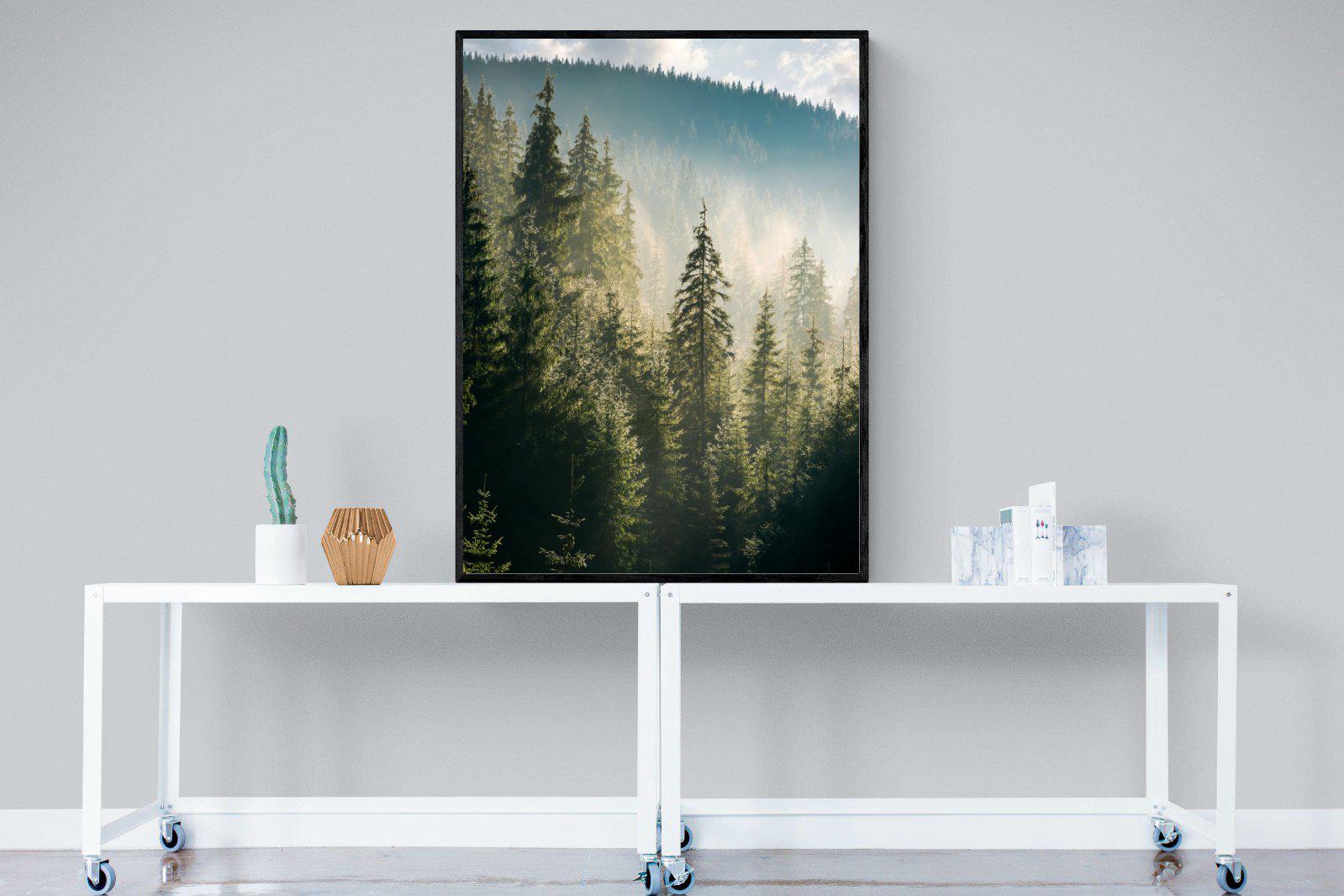 Spruce Forest-Wall_Art-90 x 120cm-Mounted Canvas-Black-Pixalot