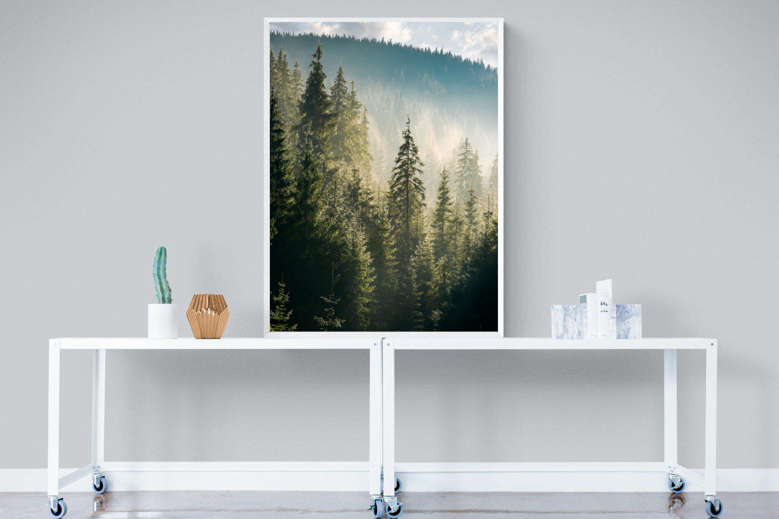 Spruce Forest-Wall_Art-90 x 120cm-Mounted Canvas-White-Pixalot