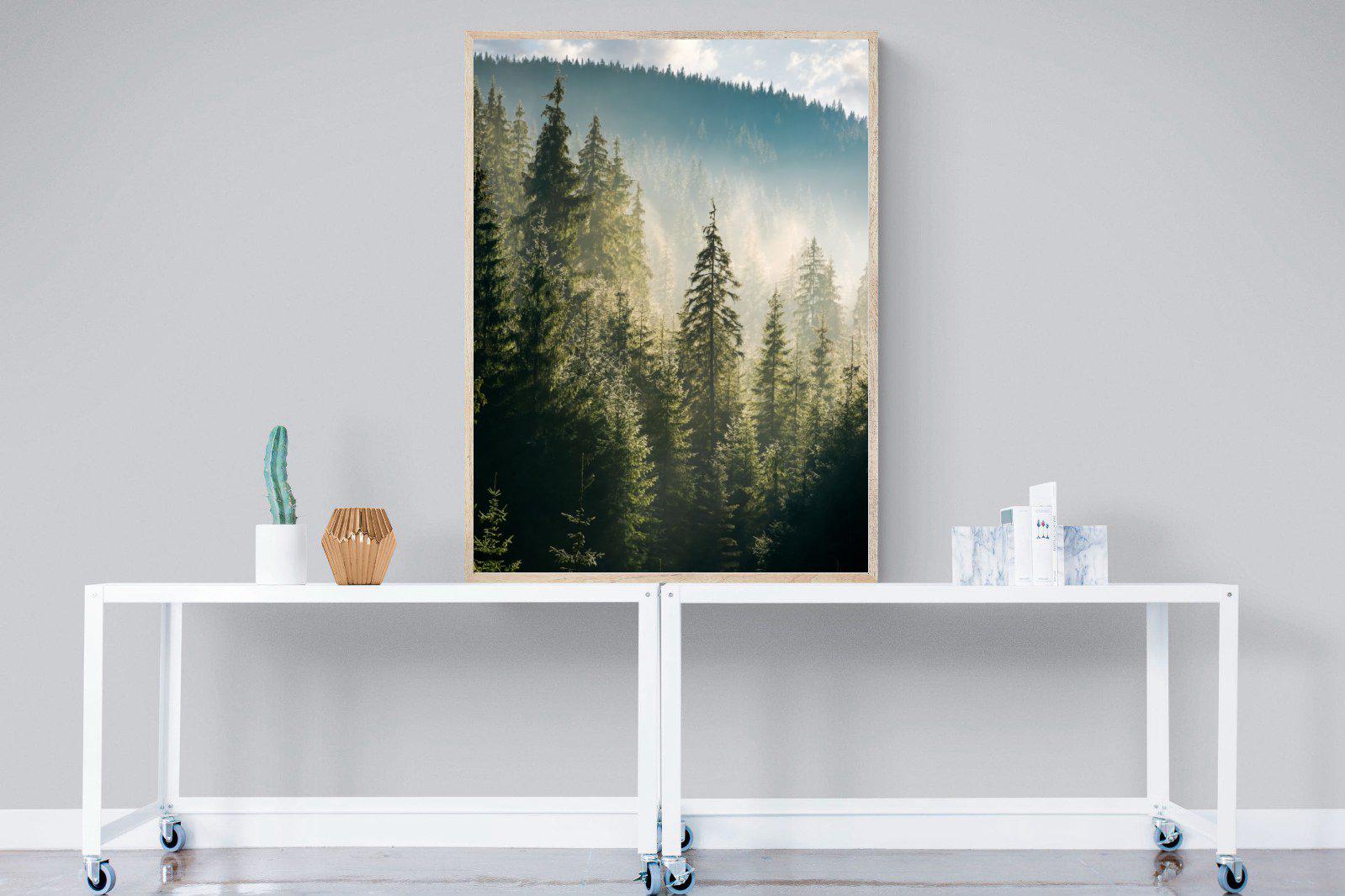 Spruce Forest-Wall_Art-90 x 120cm-Mounted Canvas-Wood-Pixalot