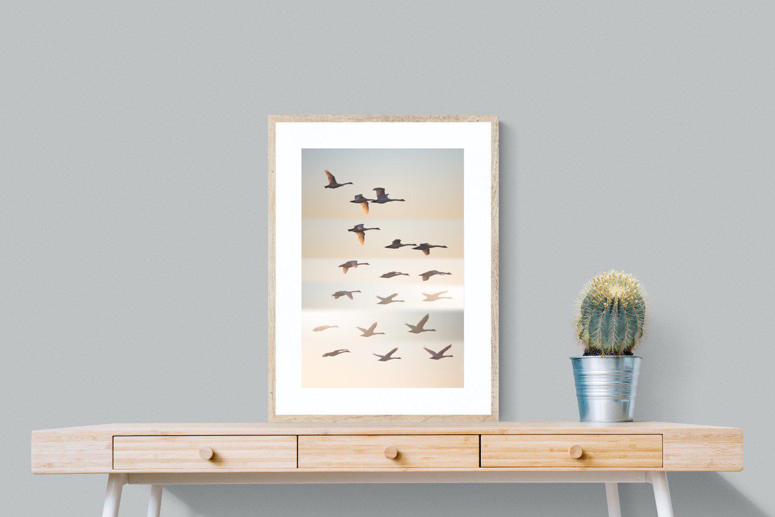 Squadron-Wall_Art-60 x 80cm-Framed Print-Wood-Pixalot