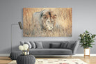 Stalking-Wall_Art-220 x 130cm-Mounted Canvas-No Frame-Pixalot