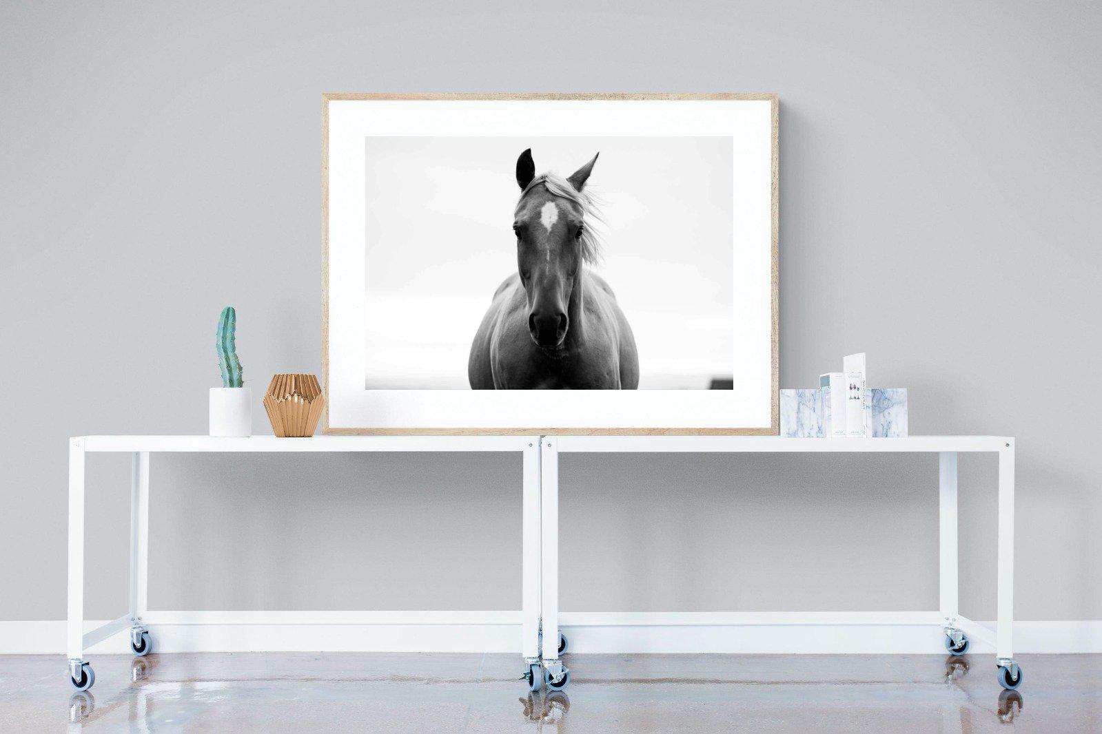 Stallion-Wall_Art-120 x 90cm-Framed Print-Wood-Pixalot