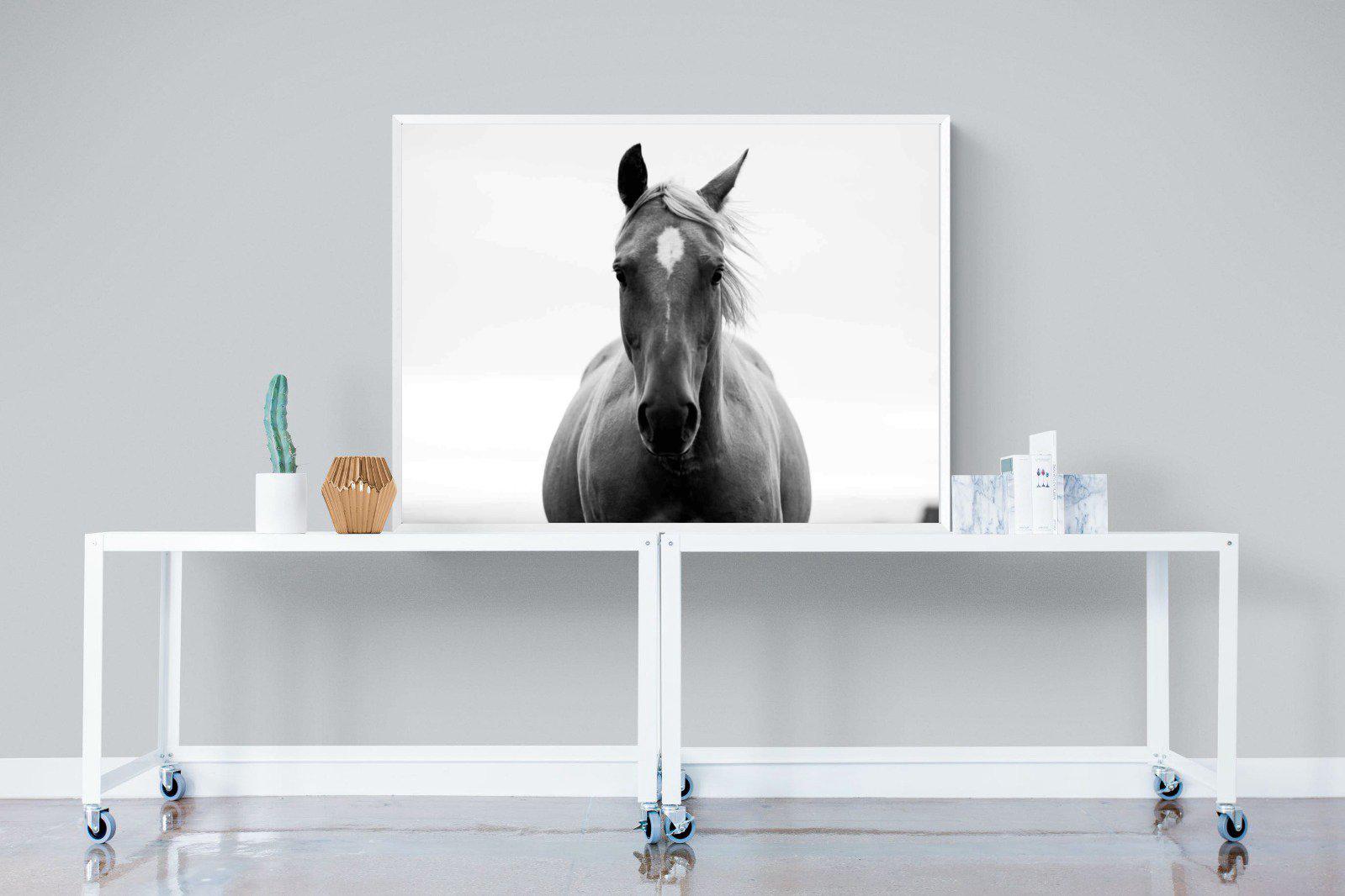 Stallion-Wall_Art-120 x 90cm-Mounted Canvas-White-Pixalot