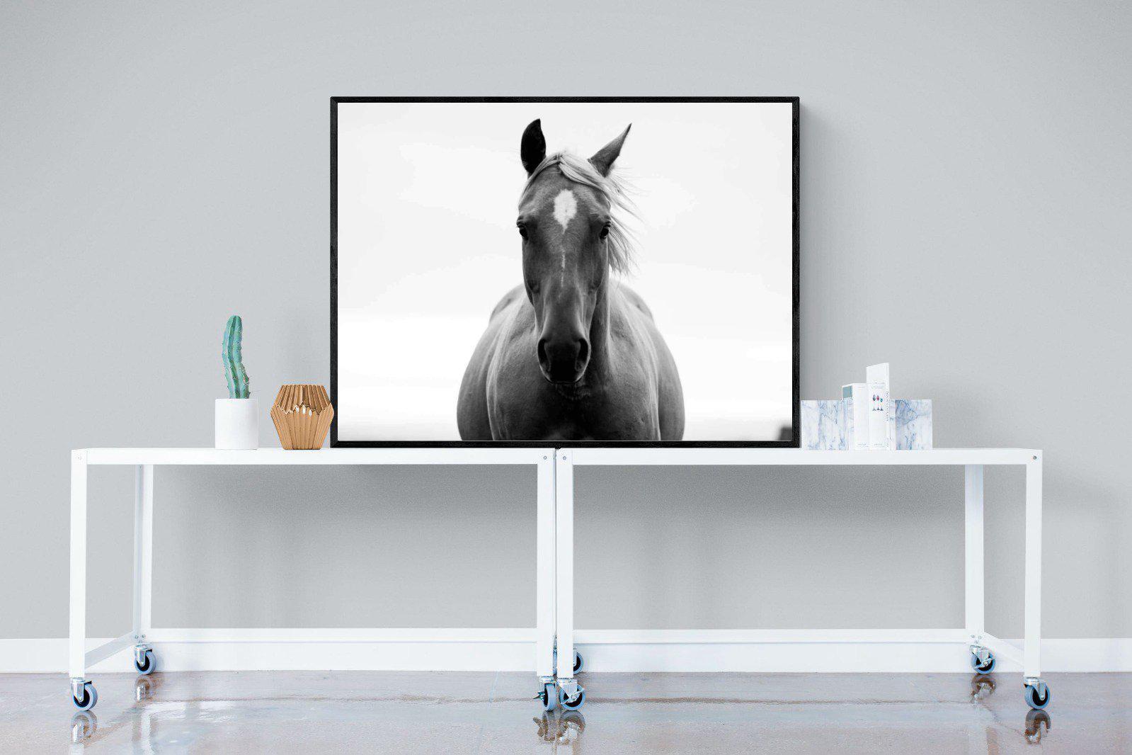 Stallion-Wall_Art-120 x 90cm-Mounted Canvas-Black-Pixalot