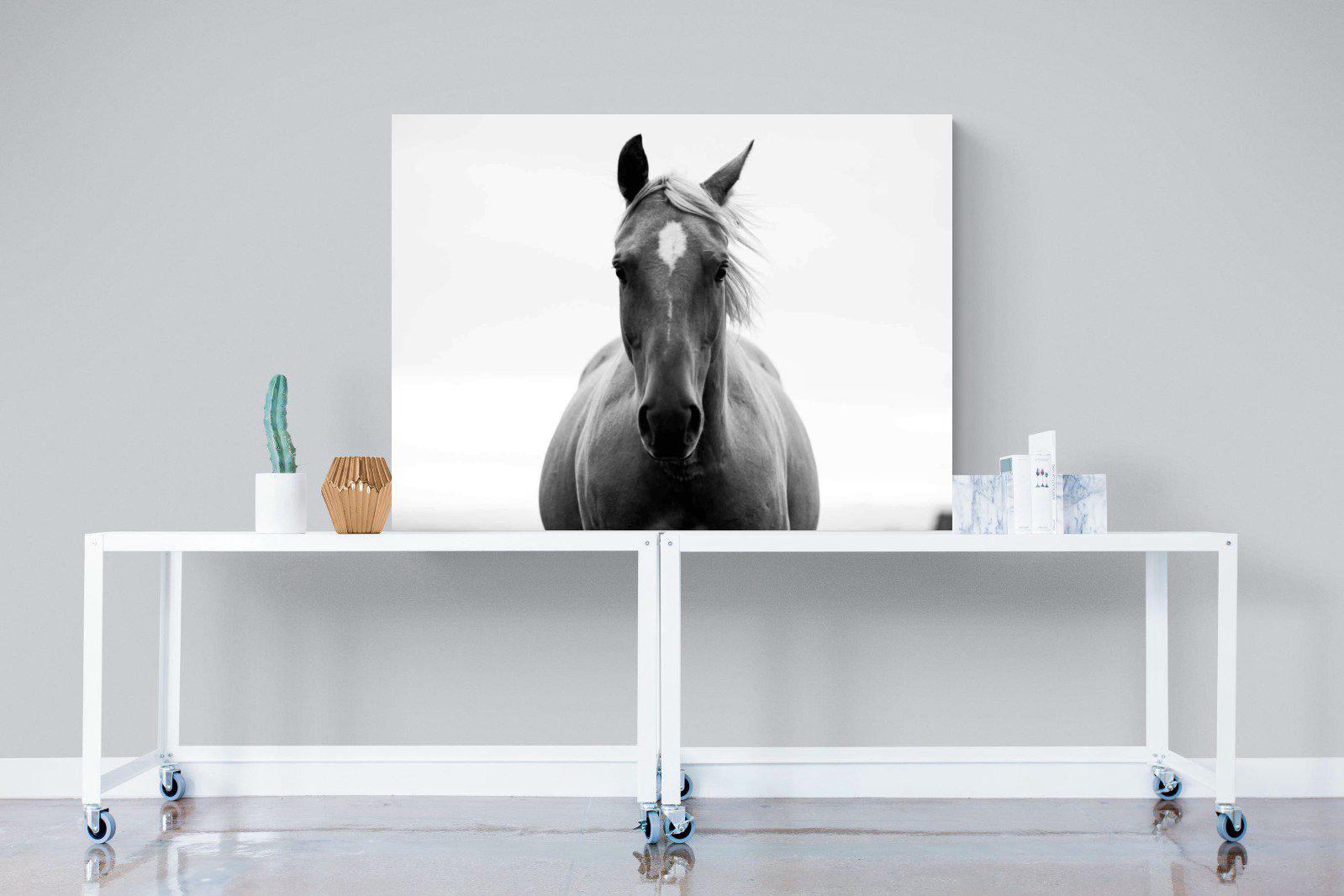 Stallion-Wall_Art-120 x 90cm-Mounted Canvas-No Frame-Pixalot
