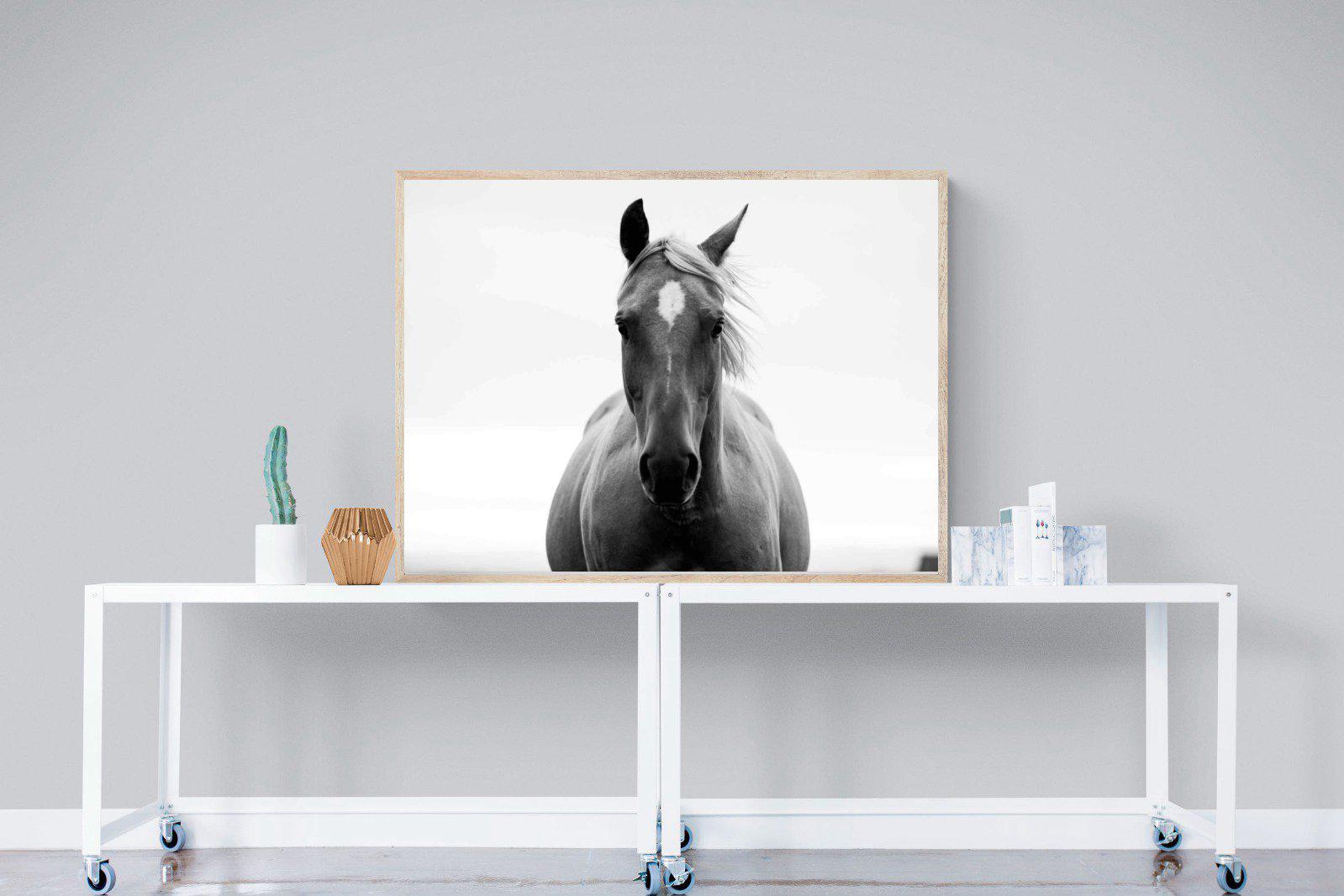 Stallion-Wall_Art-120 x 90cm-Mounted Canvas-Wood-Pixalot