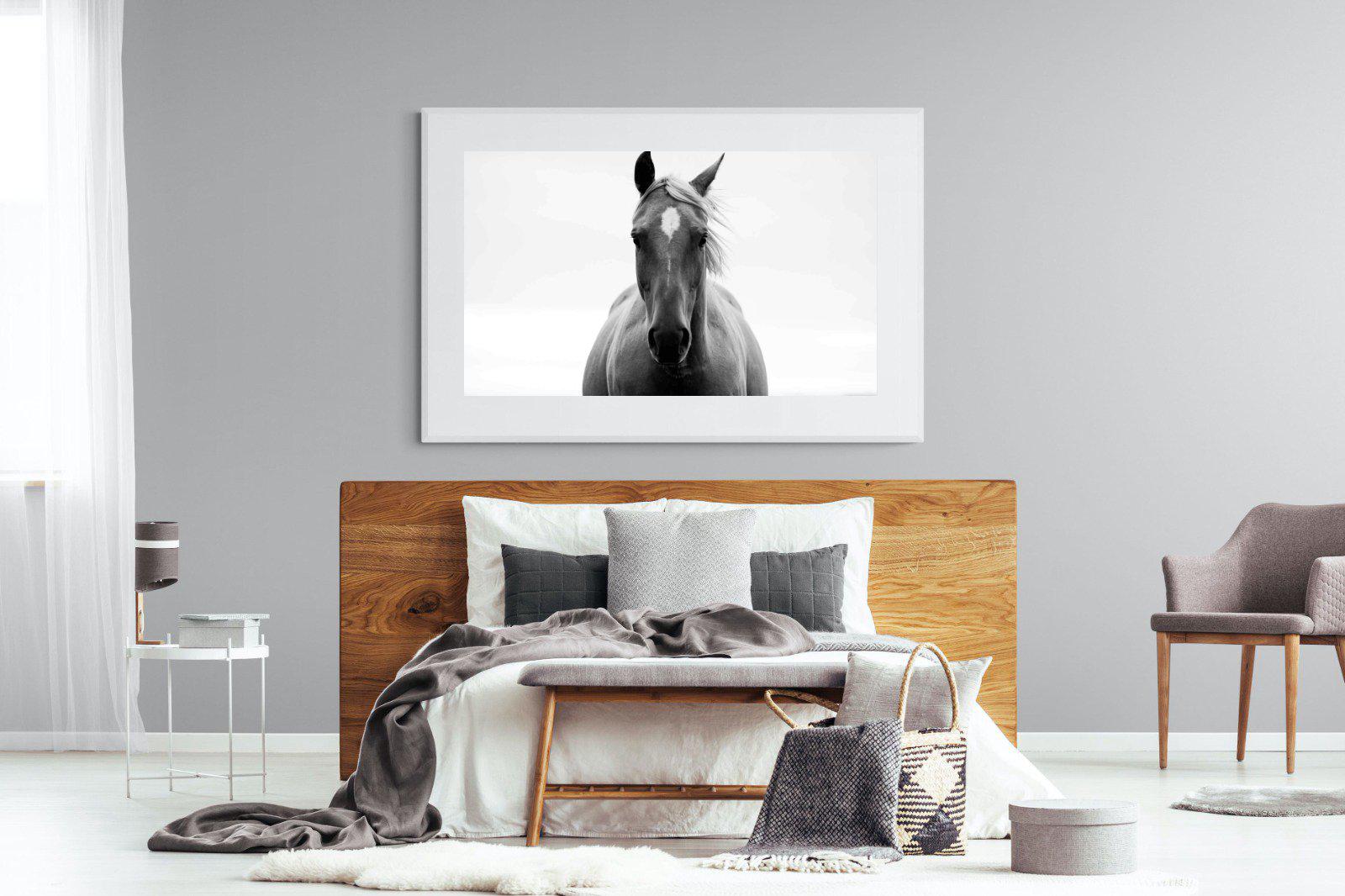 Stallion-Wall_Art-150 x 100cm-Framed Print-White-Pixalot