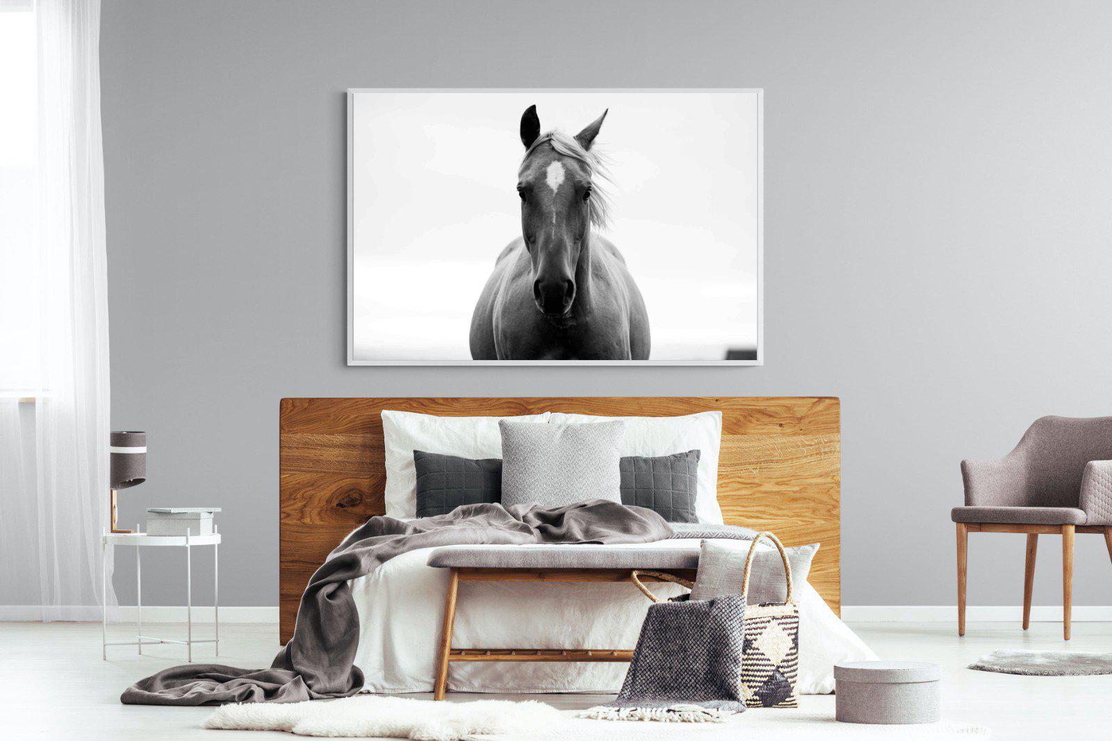 Stallion-Wall_Art-150 x 100cm-Mounted Canvas-White-Pixalot