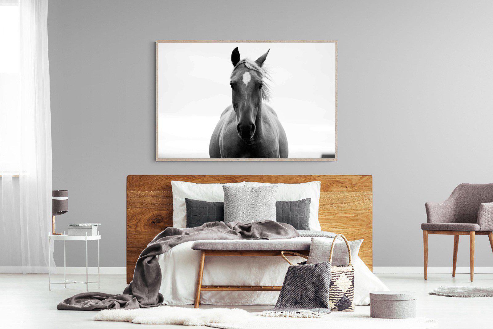 Stallion-Wall_Art-150 x 100cm-Mounted Canvas-Wood-Pixalot
