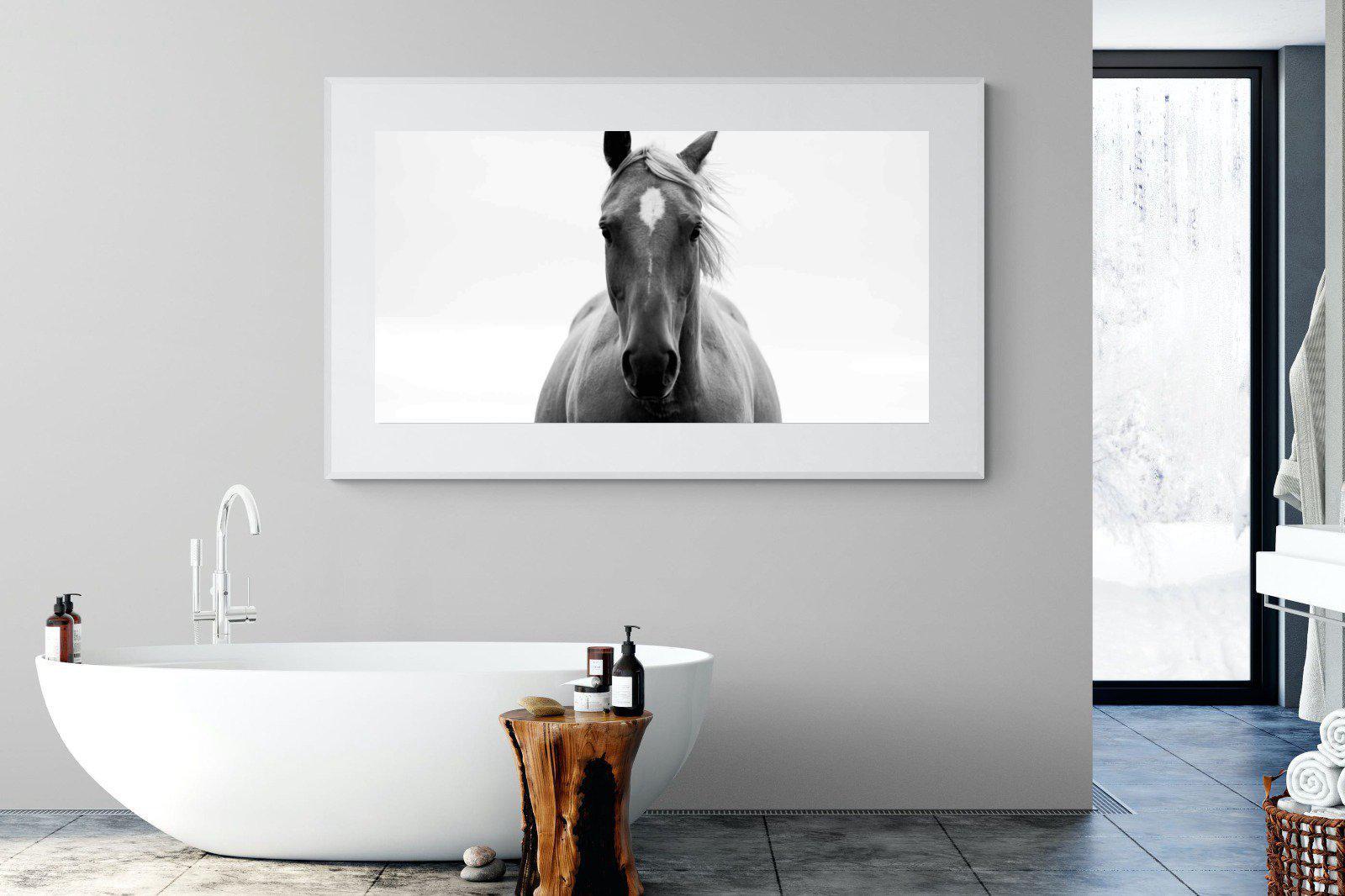 Stallion-Wall_Art-180 x 110cm-Framed Print-White-Pixalot