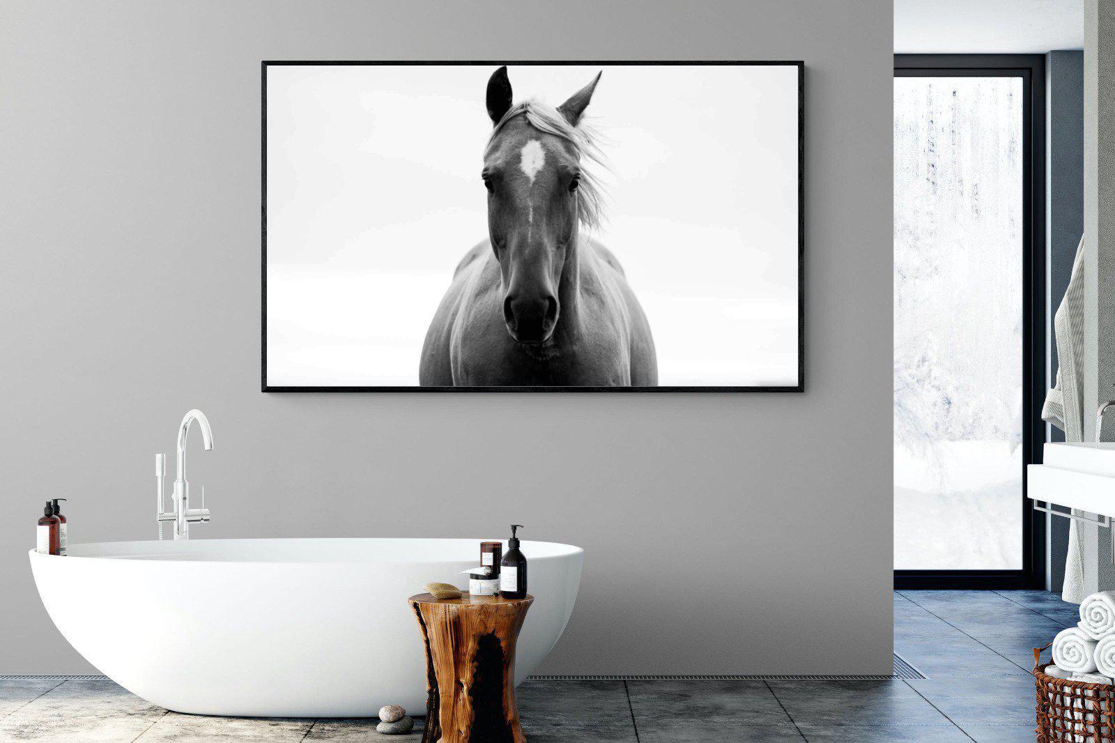 Stallion-Wall_Art-180 x 110cm-Mounted Canvas-Black-Pixalot