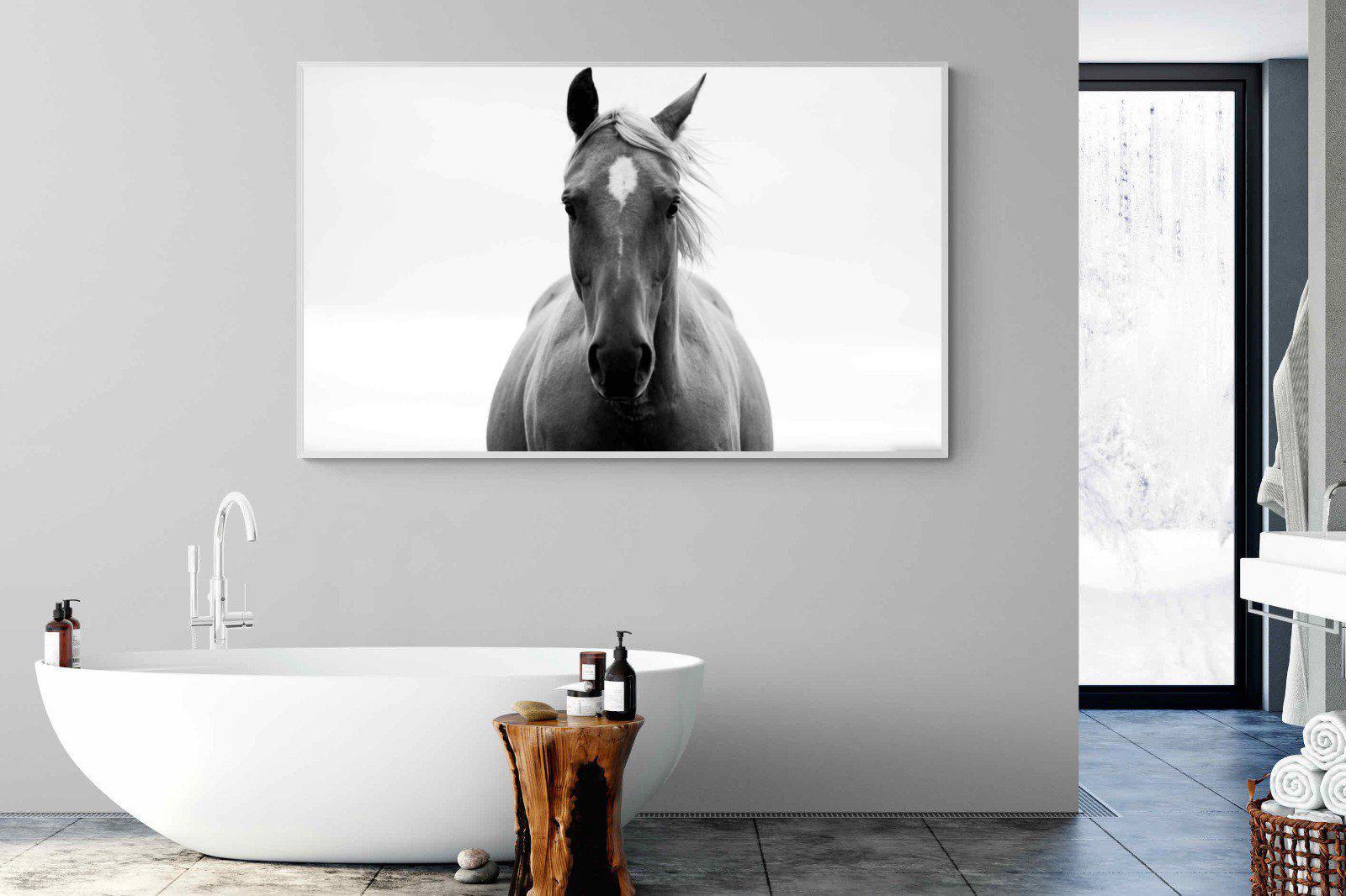 Stallion-Wall_Art-180 x 110cm-Mounted Canvas-White-Pixalot