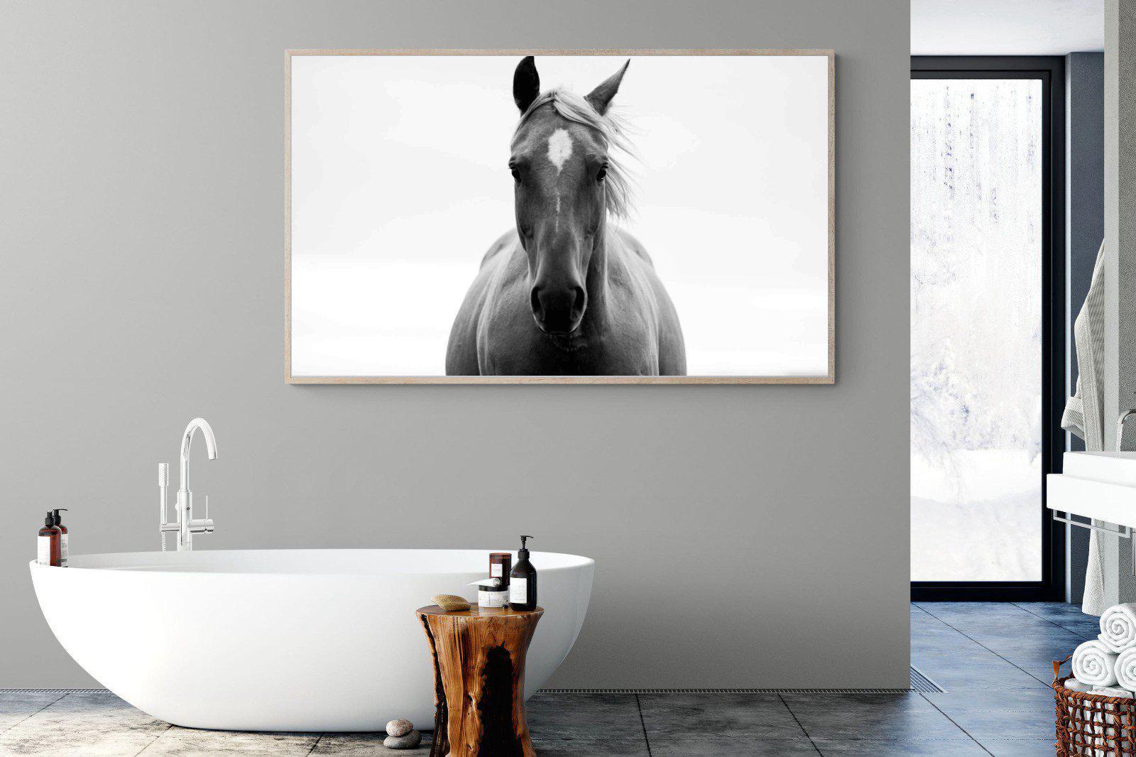 Stallion-Wall_Art-180 x 110cm-Mounted Canvas-Wood-Pixalot