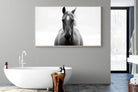 Stallion-Wall_Art-180 x 110cm-Mounted Canvas-Wood-Pixalot